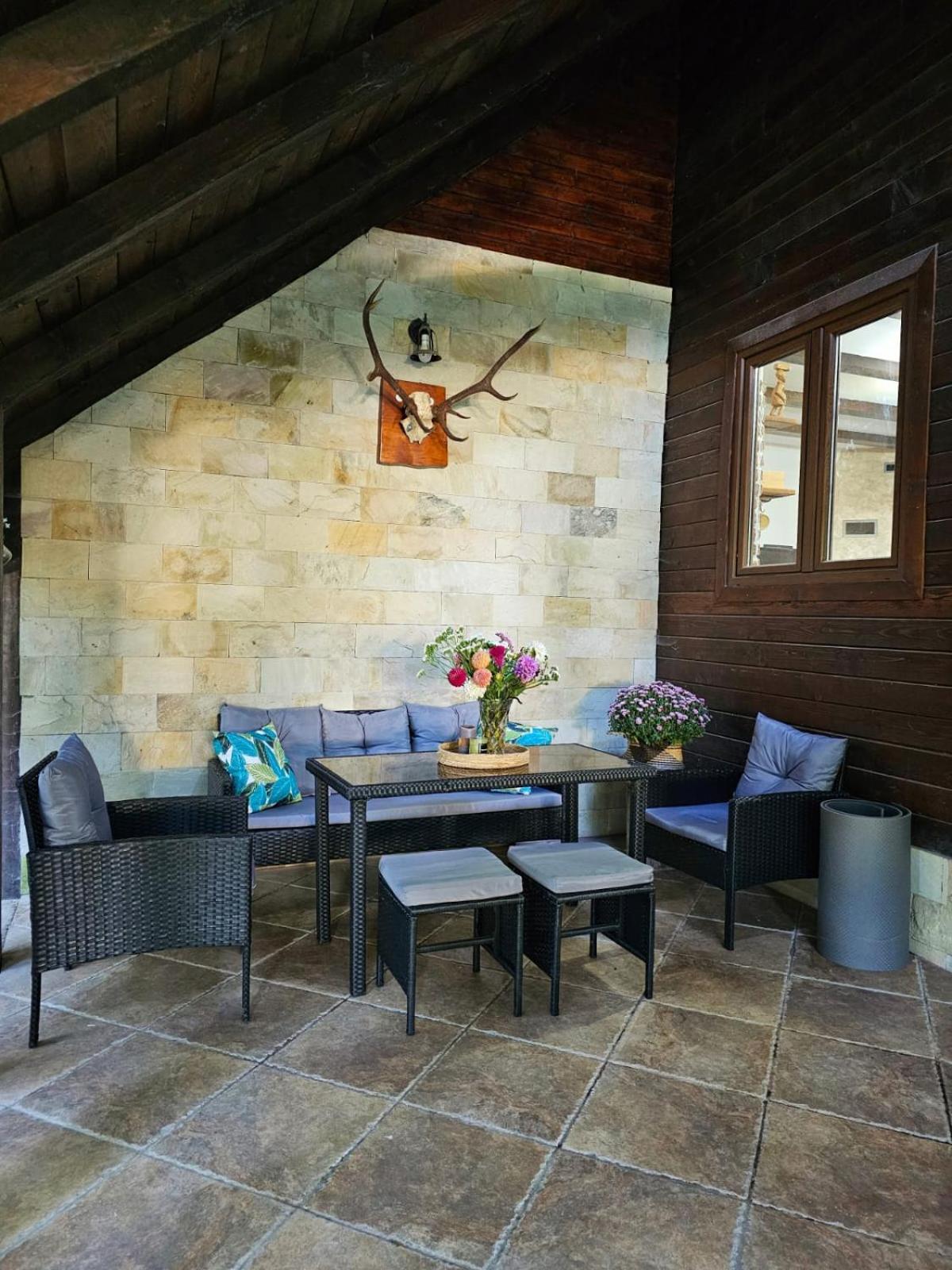 Villa Misha'S House à Porumbacu de Sus Extérieur photo